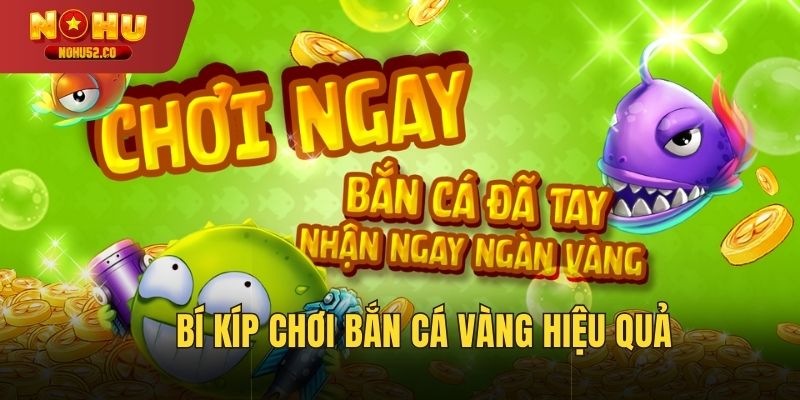 Nhắm mục tiêu chính xác giúp bạn tối ưu hóa điểm số.